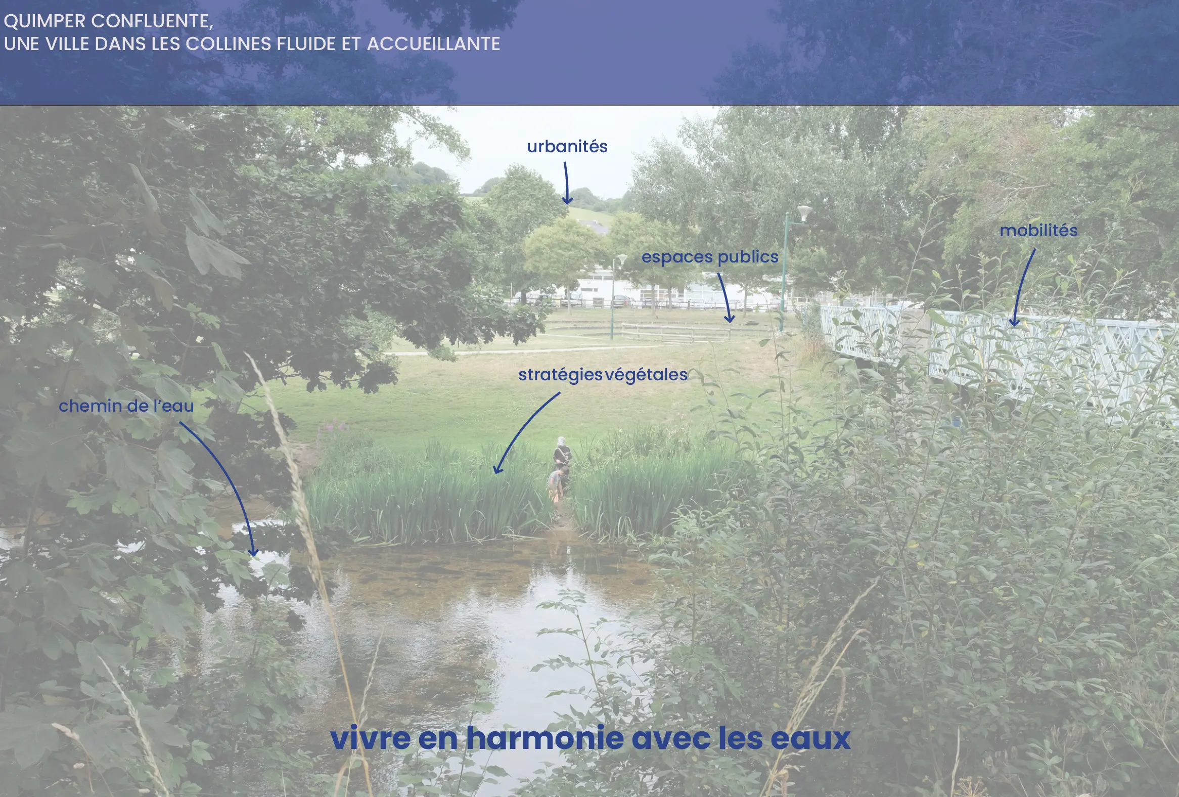 photo_quimper_confluente.png